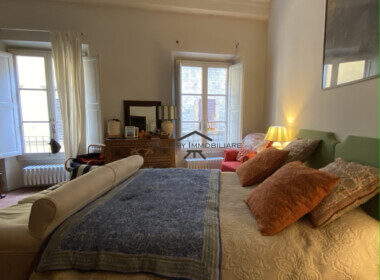 AnyConv.com__IMG_3466